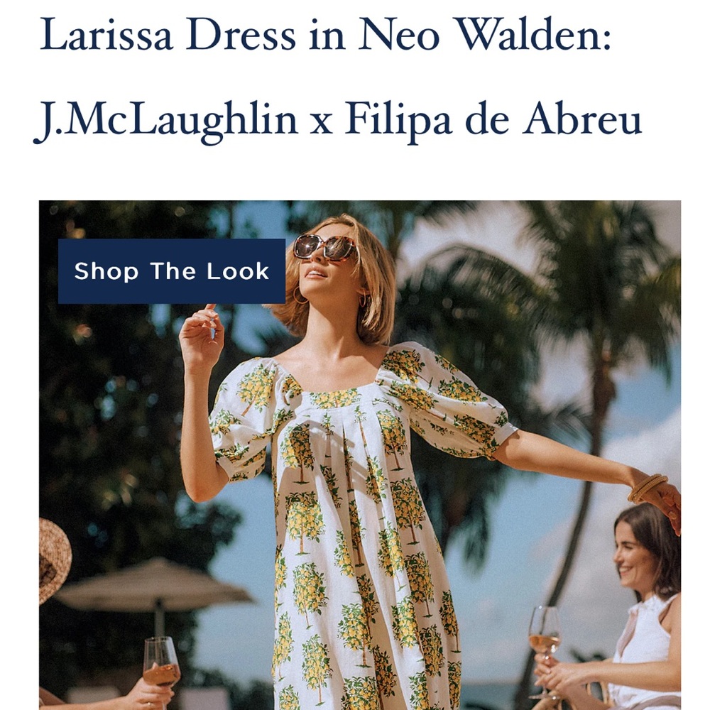 J. McLaughlin Larissa Dress in Neo Walden Small
